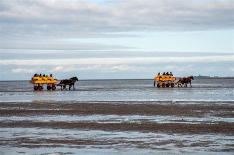 Visiting Wadden Sea National Park In Northern Germany
