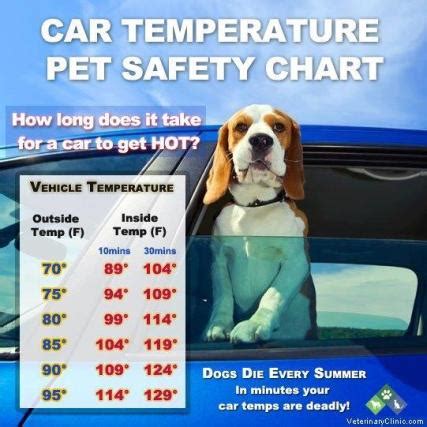 The las vegas area is also seeing a red flag warning for the mountains and locations to the north. As temperatures rise, consider the safety of your dog | My ...