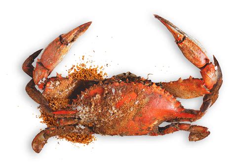 Crab Png Transparent Crab Png Images Pluspng Sexiz Pix
