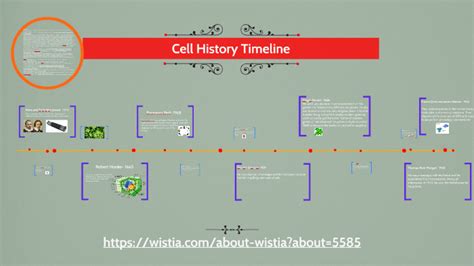 Cell History Timeline By Alyssa Gold On Prezi