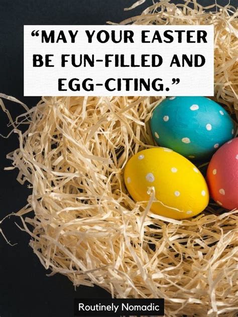 Funny Easter Quotes 115 Funny Easter Sayings Routinely Nomadic