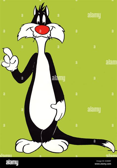 Sylvester The Cat High Resolution Stock Photography And Images Alamy
