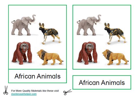 Montessori African Animals Printable Age 3 To 6