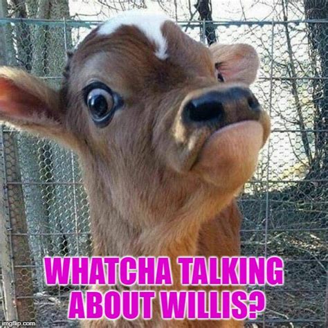 Whatcha Talking About Willis Imgflip