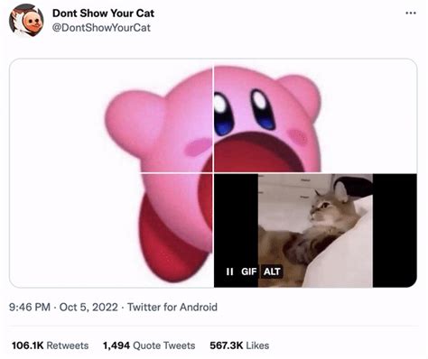 A Meme Is Born How People Are Taking Mixed Media Viral On Twitter