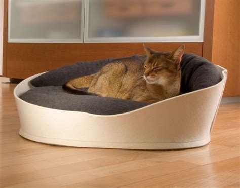 Arena Luxury Cat Bed Felt Lowest Prices Guaranteed Free Delivery