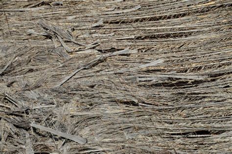 Texture Of The Classic Thatch Roof Stock Photo Image Of Grass