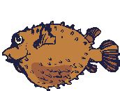 Ikan buntal yang dikenal juga dengan nama blowfish, puffer fish atau juga fugu di jepang, memiliki racun. Free Fish Animations - Images Of Fish - Graphics