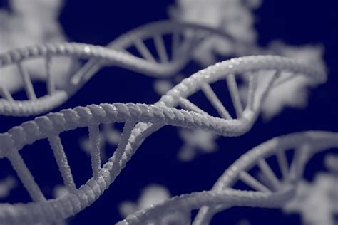 Zespół Patau trisomia 13 chromosomu Patau syndrome przyczyny