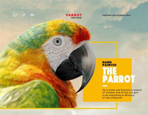 《the Parrot》 Behance