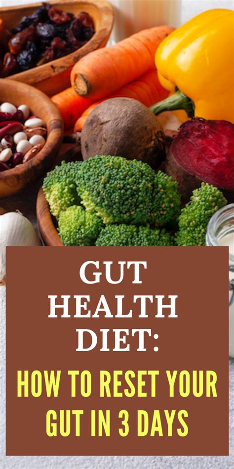 Gut Health Diet How To Lose The Gut 3 Steps To Lose That Gut Fast
