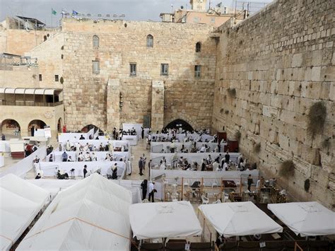 בקר בדף הבית של צנחן לעולם. אין כמו בבית • עַל הַדֶּרֶךְ