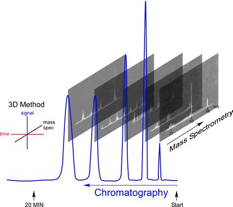 Gas Chromatography Mass Spectrometry Analysis Gas Chromatography