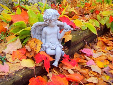 Garden Angel In The Back Garden Ann J P Flickr