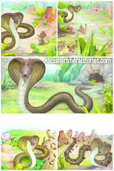 Panchatantra Stories In English Story Of The Hunter And The Pigeons