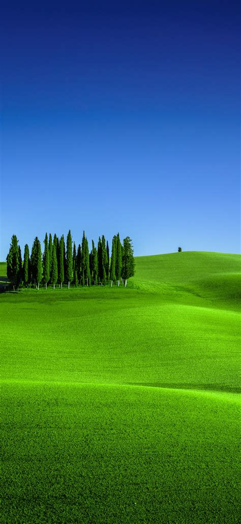 Green Meadow Wallpaper 4k Torrenieri Tuscany Italy Clear Sky
