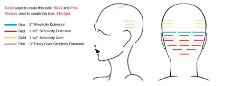 Micro Bead Hair Extension Placement Diagram Diagramwirings