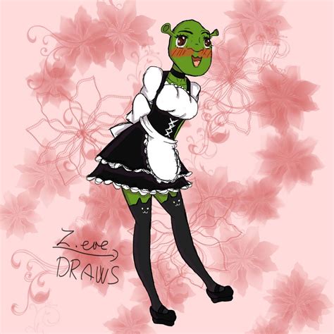 Maid Shrek Shrek Shrek Funny Cartoon Art Styles