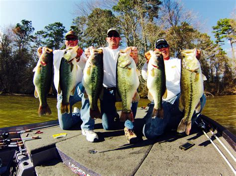 Pre Spawn Bass Fishing Lake Guntersville