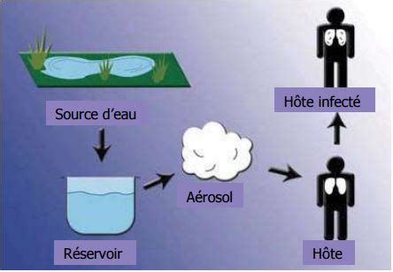 Search for health information from across the web with discoverhealthinfo.com. Legionella Détaillée — Safe Drinking Water Foundation