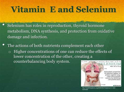 Ppt Vitamin E Powerpoint Presentation Free Download Id2278082