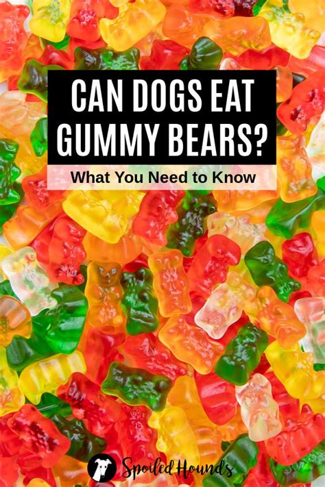 Submitted 7 years ago by albynobanana. Can Dogs Eat Gummy Bears? What to Know about Dogs and Gummies