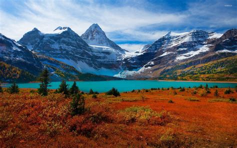 Red Nature In Mount Assiniboine Provincial Park Wallpaper