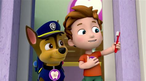 Paw Patrol Pups Save A Toof Wallpapers Wallpaper Cave