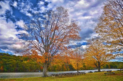 An Autumn Scene With Picnic Tables And Trees By The Waters Edge On A