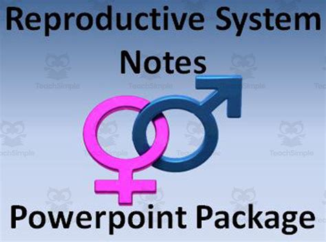 Reproductive System Powerpoint Presentations By Teach Simple