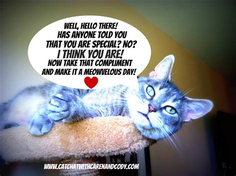 Cat Chat With Caren And Cody Just For You On National Compliment Day