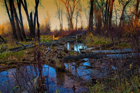 Warm River Shoot Rexburg Idaho Naturalfocus Photography Flickr