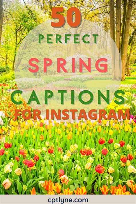 50 Perfect Spring Captions And Quotes For Instagram In 2023 Instagram