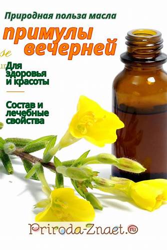 Эндометриоза и диета Масло примулы вечерней — полезные свойства и лечебное действие | Масло Масло примулы вечерней — полезные свойства и лечебное действие | Масло Эндометриоза и диета