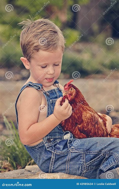 Little Farm Boy Holding Red Chicken Stock Photo Image Of Girl