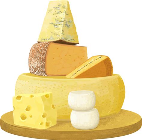 Download Free download cheese vector free vector download (217 Free ...