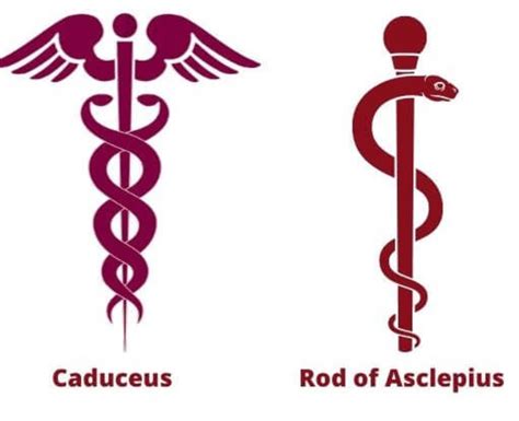 What Is The Caduceus Symbol — History And Meaning Symbol Sage