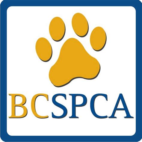 Spca Paws For A Cause Happening This Sunday My Cariboo Now