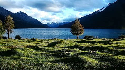 Hd Wallpaper Lake In Santa Cruz Argentina Grass Shore Mountains