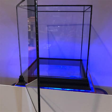 Made To Order Glass Display Case 8x8x9 Glass Cube With Hinged Etsy