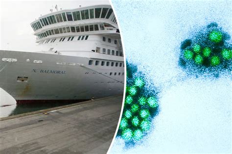 Norovirus Strikes Hundreds Of British Passengers On Cruise Ship Daily Star