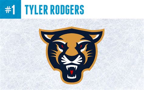Top 5 Florida Panthers Logo Concepts Hockey By Design