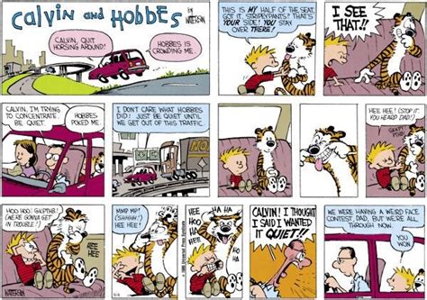 This Is The Strip That Made Me Fall In Love With Calvin And Hobbes R