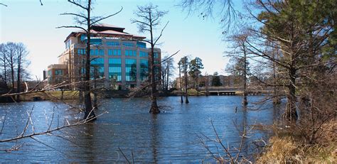 A Visit To The University Of Louisiana Monroe Campus