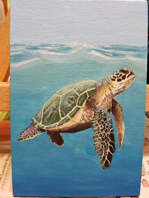 Sea Turtle Acrylic On 4x6 Canvas Board Submitted By