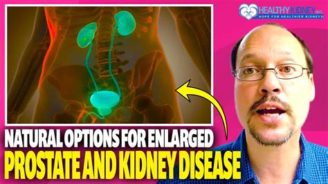Enlarged Prostate And Kidney Disease Natural Treatment Options Youtube