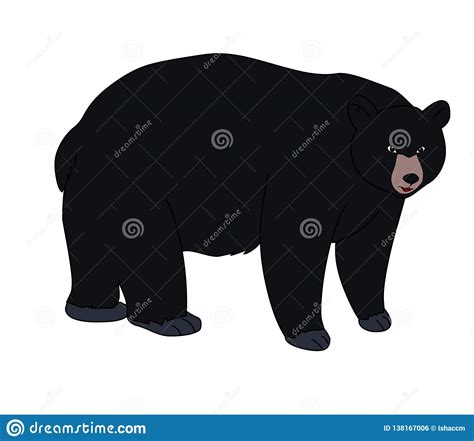 American Black Bear Illustration Vector Stock Vector Illustration Of Drawing Artistic 138167006