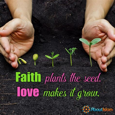 Faith Plants The Seed Love Makes It Grow Seed Quotes Wisdom Quotes Islamic Quotes