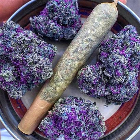‼️what Would You Name This Strain⁉️ 💜this Purple Is Out Of This World💜