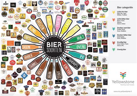 Overzicht Van Verschillende Biersoorten Biermerken En Speciaalbier